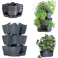 DONNICZKA NA ZIOŁA ZIOŁÓWKA KASKADOWA ZIELNIK PIĘTROWA POTRÓJNA