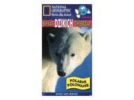 ZAFOLIOWANA - Polarne polowanie świat dzikich zwierząt - kaseta wideo VHS