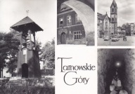 TARNOWSKIE GÓRY - DZWONEK GWARKÓW - WINIARNIA SEDLACZKA - RYNEK - SZTOLNIA
