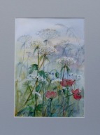 Akwarela pt. Biedrzeniec i maki