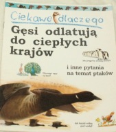 Ciekawe dlaczego Gęsi odlatują do ciepłych krajów Amanda O'Neill