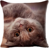 Ozdobna poszewka, jasiek na poduszki - Kot - 45 x 45 cm produkt unisex