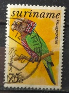 Holandia kolonie - Surinam kas 22/3 - ptaki