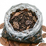 Miks próchno i spróchniałe liście 1l – podłoże naturalne dla isopodów