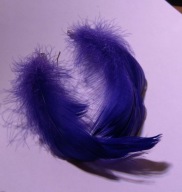 Fioletowe kolczyki pióra piórko pióro