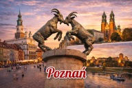 Magnes na Lodówkę miasto - Poznań