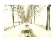 Pocztówka - Pejzaż zimowy i droga wśród pól ...