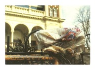 Pocztówka - Zamotane siodełko rowerowe przy ogrodzeniu