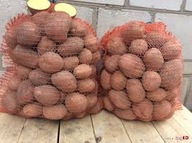 ZIEMNIAKI BELLAROSA 15 kg PYSZNE ŁÓDZKIE ECO BEZ CHEMII NATURALNE