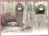 Estonia 2024, FDC fauna, norka europejska