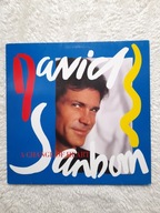 DAVID SANBORN A CHANGE OF HEART