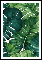 A2 PLAKAT DO SALONU SYPIALNI ŁAZIENKI ZIELONE LIŚCIE MONSTERY MONSTERA NR5