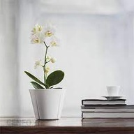 ROSENDAHL doniczka porcelana GRAND CRU DENMARK NOWA OSŁONKA STORCZYK