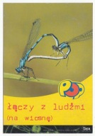 IDEA POP ŁĄCZY Z LUDŹMI NA WIOSNĘ REKLAMA TELEFON SIEĆ 2001