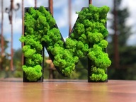 Ramka w Kształcie Litery A-Z z Chrobotkiem