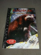 NATURAL KILLERS 23 ROSOMAK Siła Charakteru - DVD folia nowy