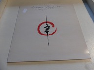 Andreas Vollenweider – Dancing With The Lion EX 1989