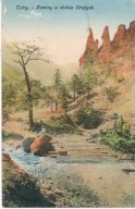 Tatry Kominy w dolinie Strążysk 1924 r
