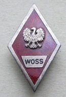 Odznaka absolwentka WOSS