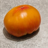 Pomidor Texas Star (104) nasiona kolekcjonerskie