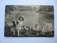 PIES DZIEWCZYNKA ŁABĘDZIE przedwojenna POCZTÓWKA