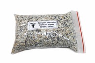 Mieszanka ziaren dla Messor barbarus 100 gram/ 160ml. 9 składników!