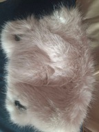 CZAPKA ZIMOWA sztuczne futro NAUSZNIKAMI AKRYL Biały anime uszka plusz