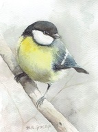 Ptak , ptaki , sikorka- akwarela z passe - partout