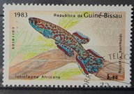 Ryby (kas) - luzak - do uzupełnień 13/8