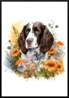 A2 PLAKAT PIES W KWIATACH RASA SPRINGER SPANIEL ANGIELSKI