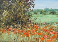 w polach" obraz olejny na płótnie 30x40cm , oryginał Garncarek Al,,,