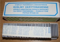 ROŚLINY OKRYTONASIENNE SLAJDY Z MAGAZYNKIEM