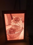 Lampa 3D Litofanowa na Zamówienie – z Twojego Zdjęcia!