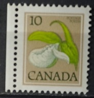 Kanada czysty * 22/20