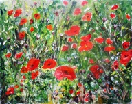 Maki na łące - W.Kowal