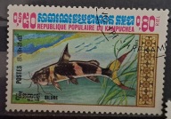 Ryby (kas) - luzak - do uzupełnień 13/2