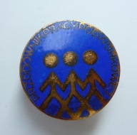 Przodownik Pracy Podwórkowej PRL - FJN Komisja ds. Dzieci i Młodzieży