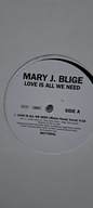 MARY J. BLIGE - LOVE IS ALL WE NEED 2x12