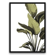 Plakat z ramą 40x50 cm Tropikalne Kształty Abstrakcja | Pomysł na Prezent