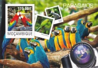 Mozambik 2014 ** cena 6,50 zł kat.8€ - ptaki, papugi, blok