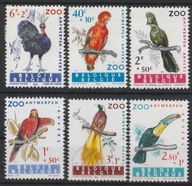 BELGIA - ZOO ANTWERPIA - FAUNA - PTAKI - 1962 - CZYSTE **
