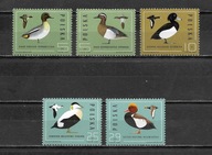 Fi. 2850, 2851, 2852, 2854, 2855 PTAKI - DZIKIE KACZKI