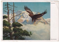 Ptak Ptaki drapieżne Orzeł góry lata 30 sygnowana Duży format k669