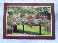 GLIWICE FORTEPIAN Z PIANISTĄ