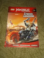 LEGO NINJAGO Synowie Garmadona nr14 - Zadania,opowiadania,komiksy gry