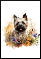 A2 PLAKAT PIES W KWIATACH RASA CAIRN TERRIER
