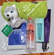 Zestaw Gmina Międzylesie