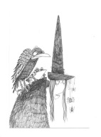 Pocztówka - Westendorp, Czarownica z krukiem i ropuchą