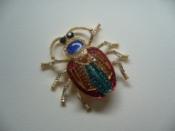 BROSZKA ŻUK CHRABĄSZCZ OWAD KRYSZTAŁKI