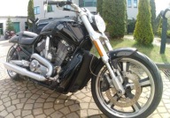 Harley-Davidson V-Rod Muscle Harley Davidson Muscle 1.3 Benzyna 122KM
